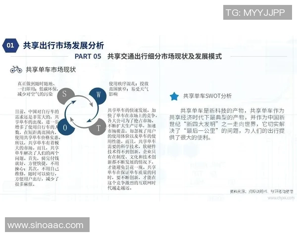 上海极限运动队状态全景解析及各队表现对比分析